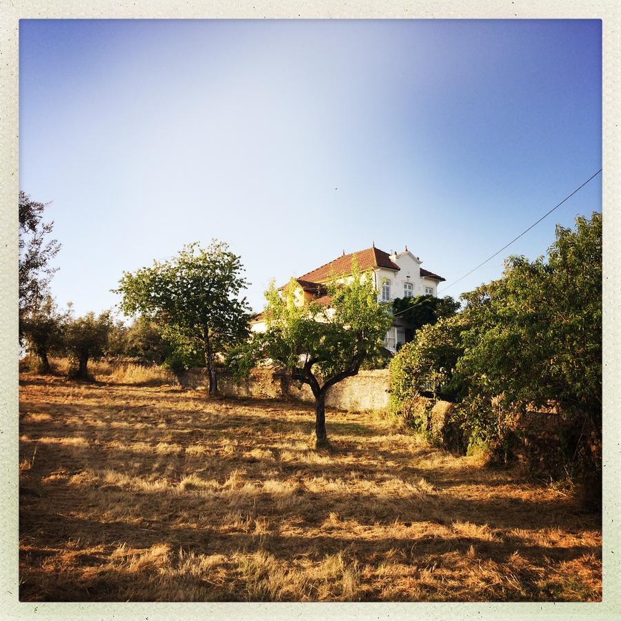 Latas Country House Hotel Penacova Kültér fotó